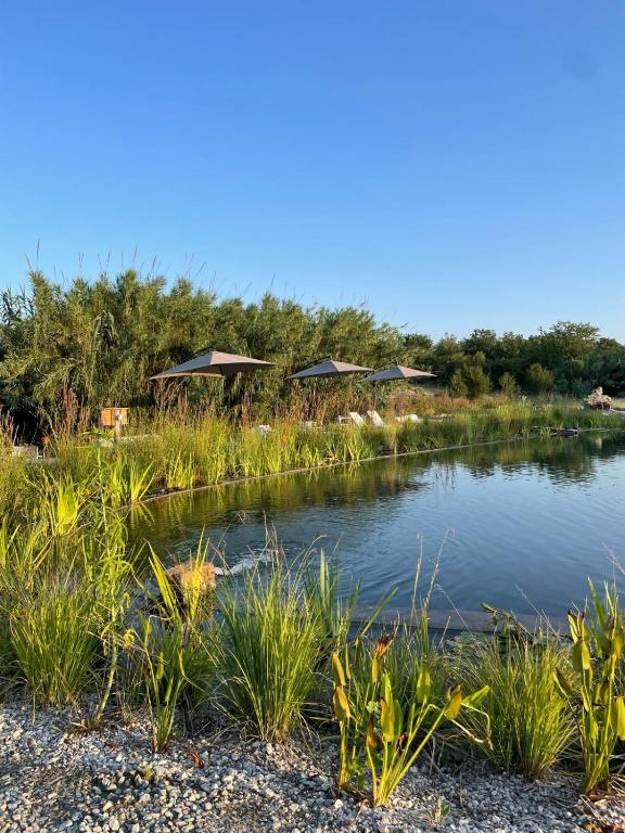 La Siba Experience - Zelt