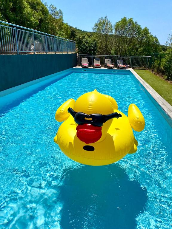 un grand canard gonflable en caoutchouc dans une piscine dans l'établissement Neues, modernes Steinchalet mit grosser Terrasse und Pool bei Rondinara, à Bonifacio