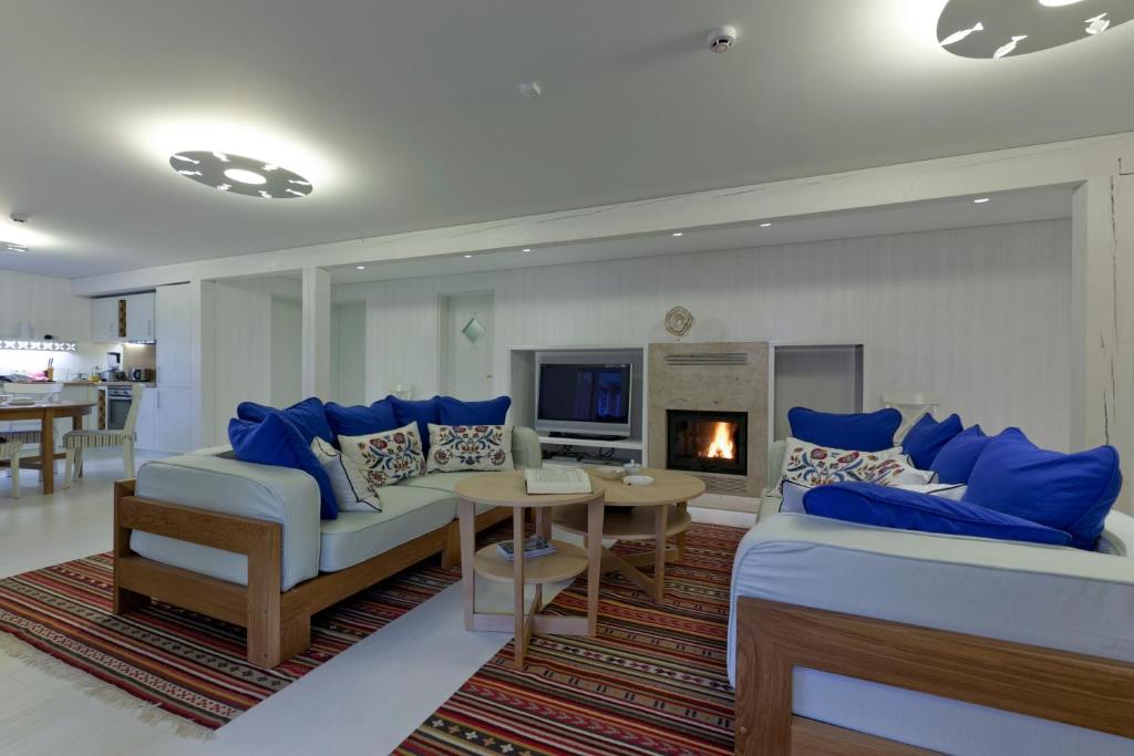 a living room with blue furniture and a fireplace at Vila Balta Balta in Nida