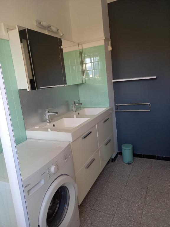 une salle de bain avec une machine à laver et un lavabo dans l'établissement ISHTa, à Vernet-les-Bains