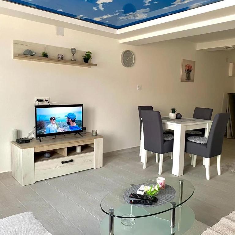 TV a/nebo společenská místnost v ubytování Apartmani VRELO