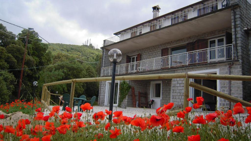 Budova, kde se the country house nachází
