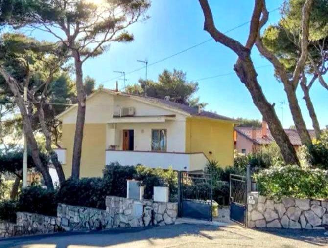 une maison jaune avec une clôture et quelques arbres dans l'établissement Casa Nora, à Castiglioncello