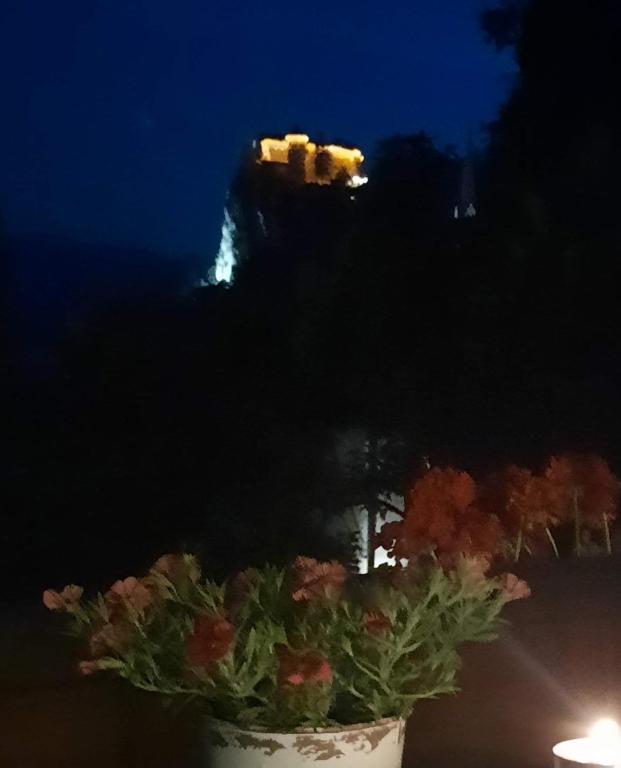 Fotografie z fotogalerie ubytování UpArt Bled v Bledu