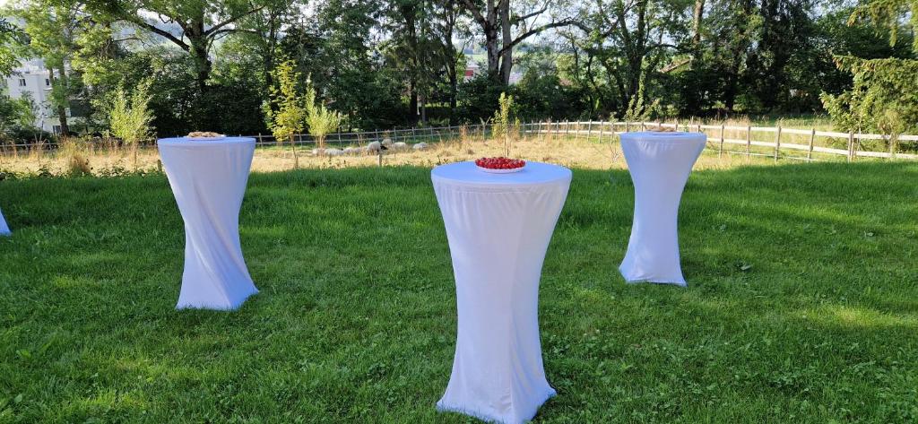 Zahrada ubytování La Ferme des Arêtes