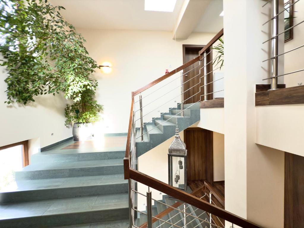 Hotel Mieszko - Resim 5