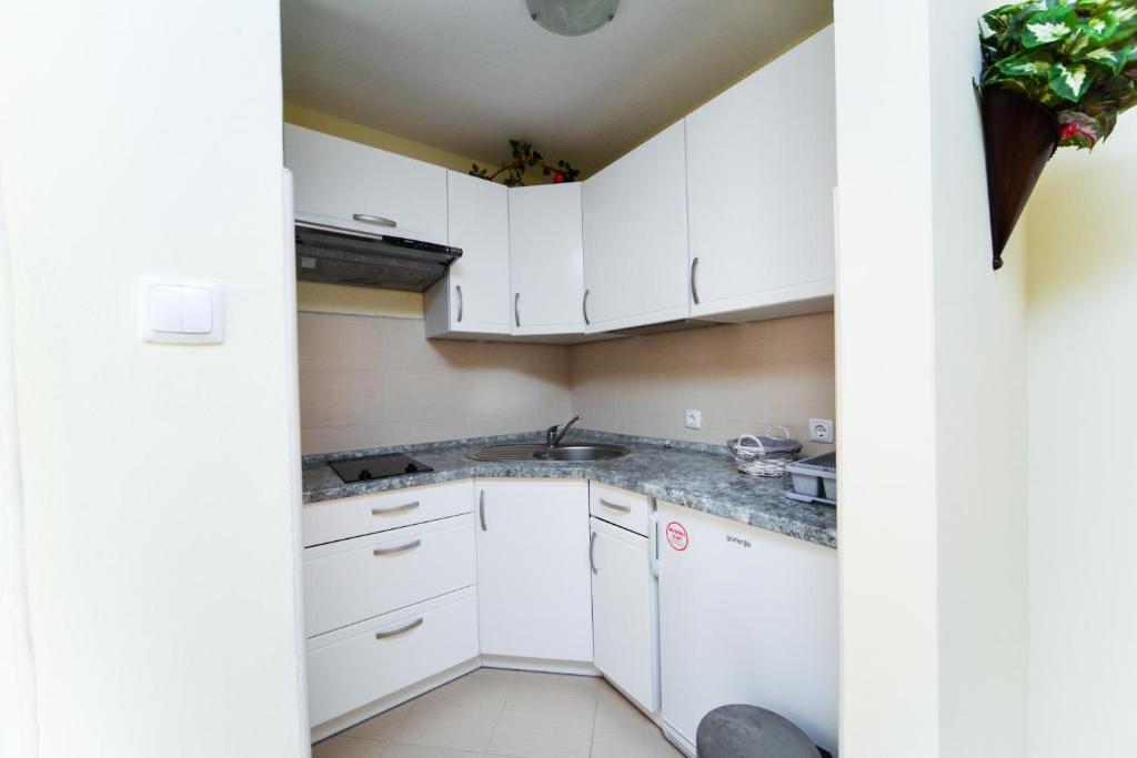 Apartments Ivan - 公寓