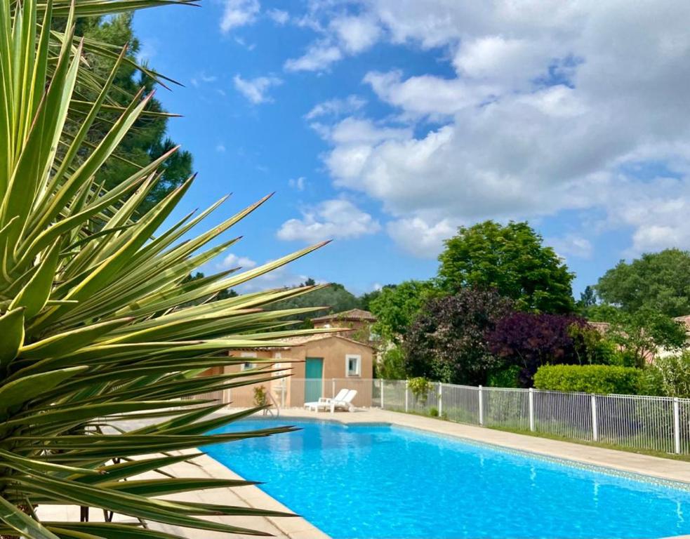 une villa avec piscine et palmier dans l'établissement La maison de Domi, à Montboucher-sur-Jabron