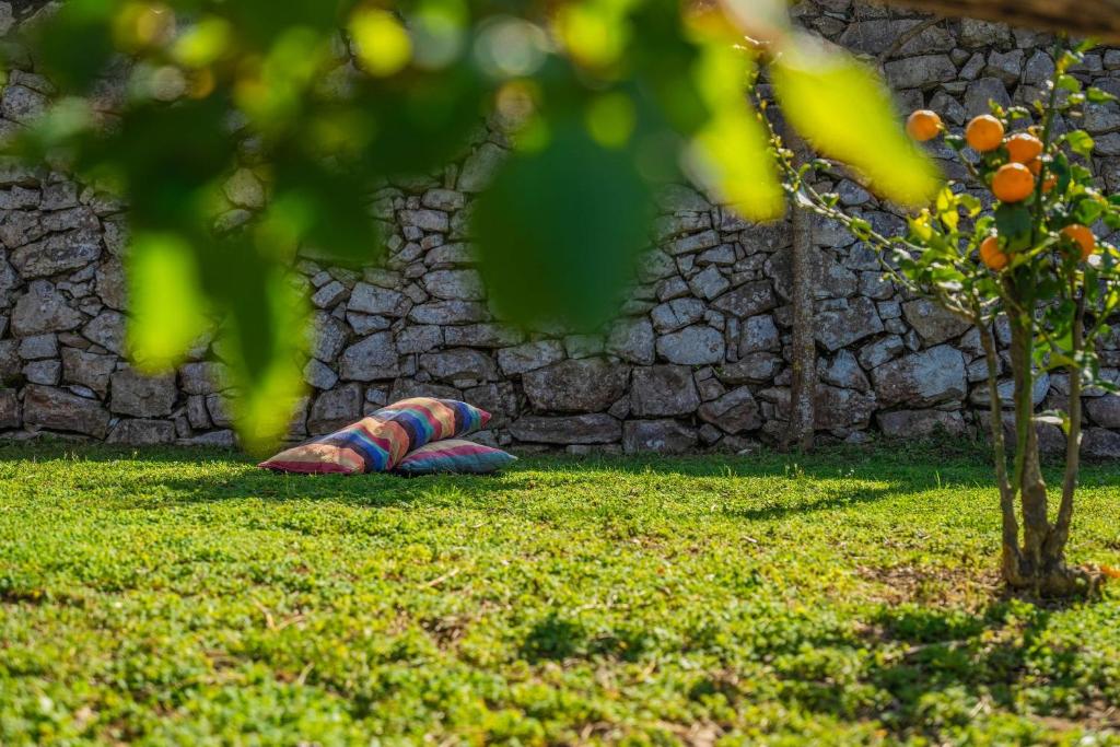 wąż leżący na trawie obok kamiennej ściany w obiekcie L'antica Pigna Chateau w mieście Vico Equense