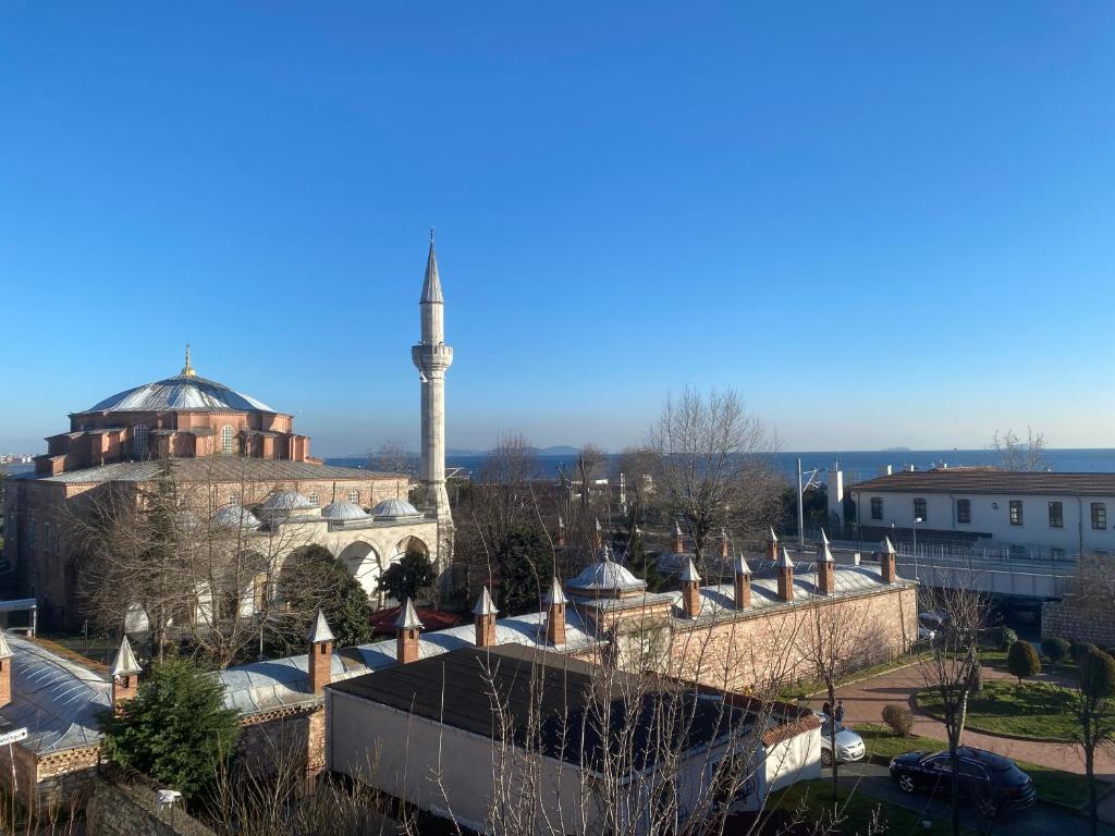 een uitzicht op een gebouw met een moskee bij Sultanahmet Apart Hotel in Istanbul