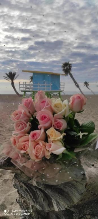 un bouquet de roses assis sur une plage dans l'établissement Casa de la Playa,Mer 100m, parking,animaux,clim,wifi, au Barcarès