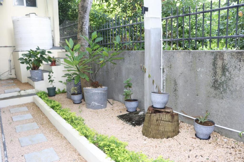 Sodas prie apgyvendinimo įstaigos Garden Suite