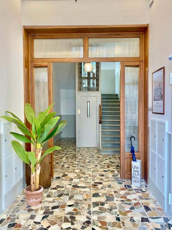 Mazzini 34 Collection - 17