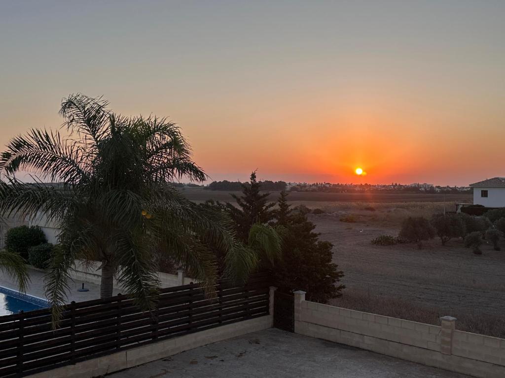 a sunset from the balcony of a house with a palm tree at AFRODITI APARTMENTs in Perivolia