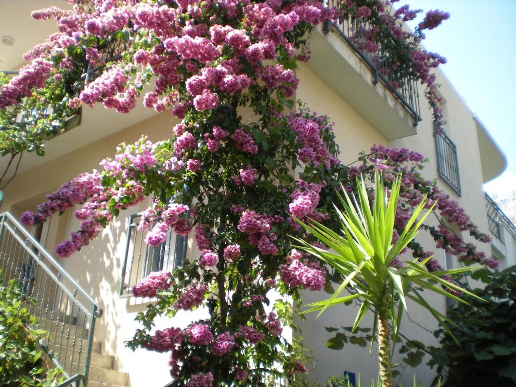 um ramo de flores roxas na lateral de um edifício em Apartments Marino em Drvenik