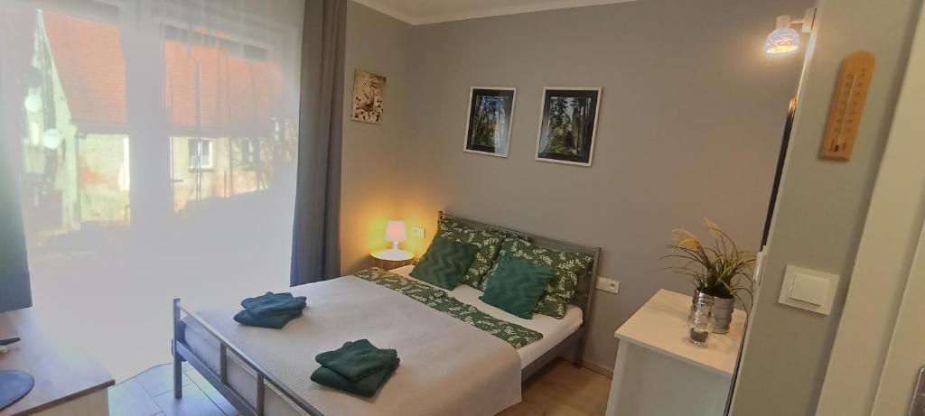 Posteľ alebo postele v izbe v ubytovaní Apartamenty Gościnne Idylla