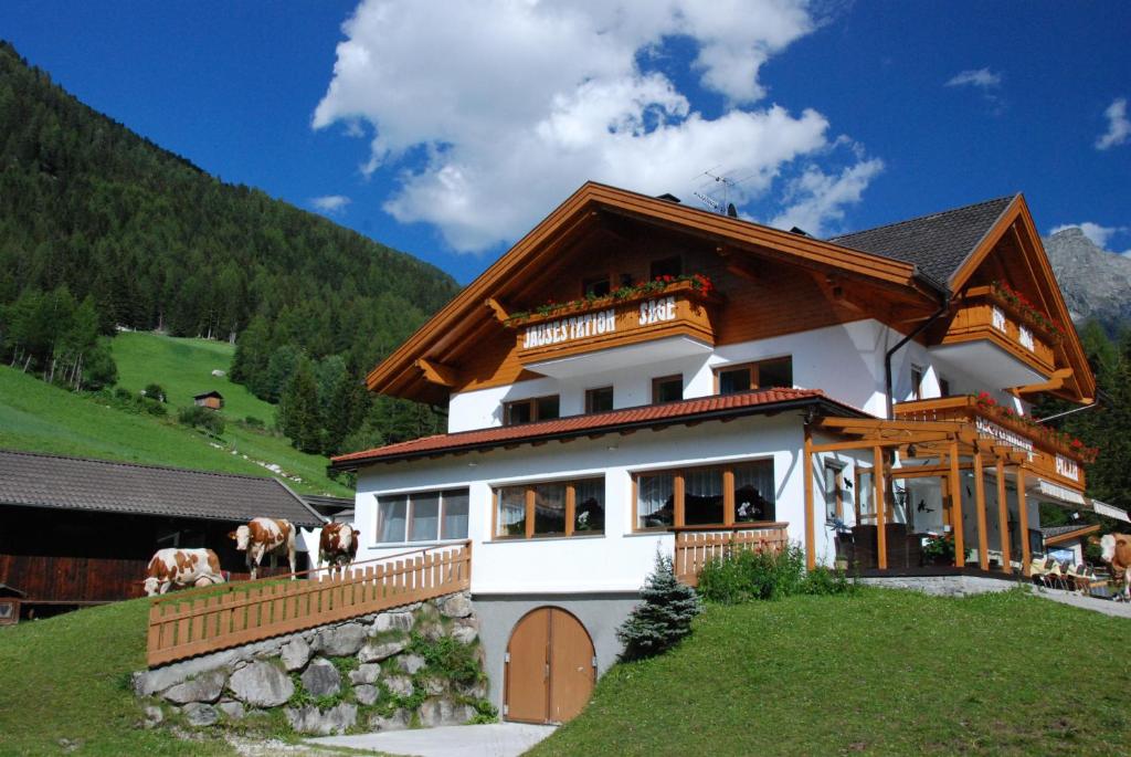 Příroda nedaleko apartmánu