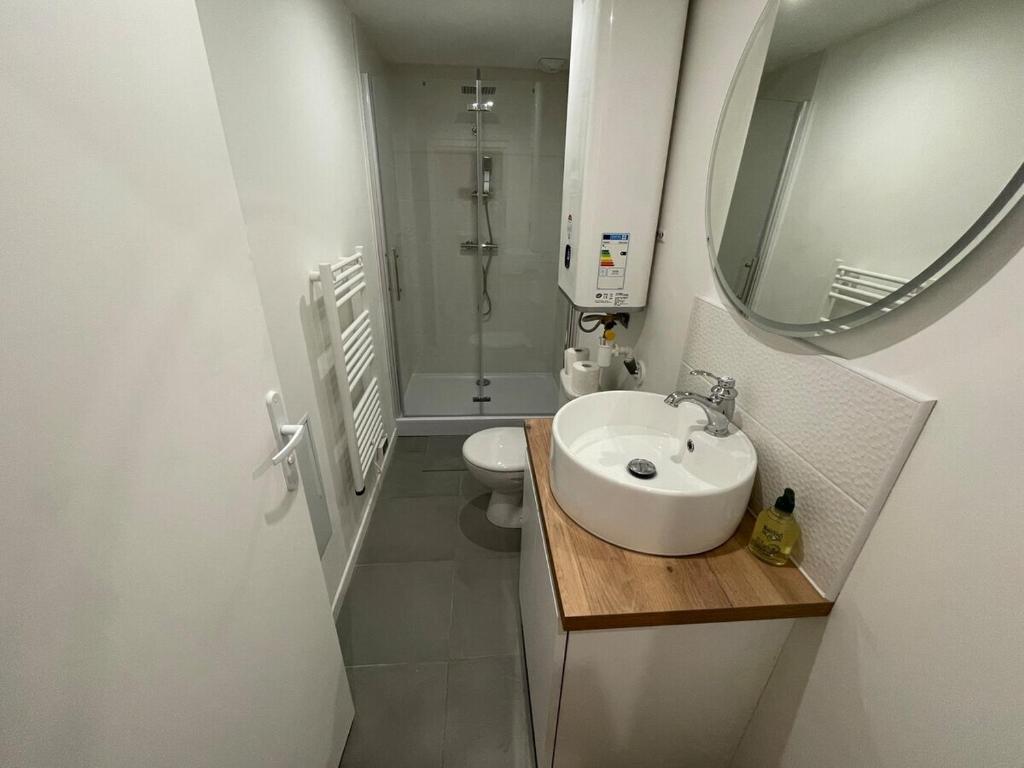 Kúpeľňa v ubytovaní Le nouveau Roubaix