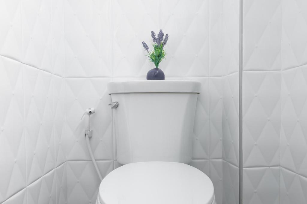 Nord Studio - Resim 30