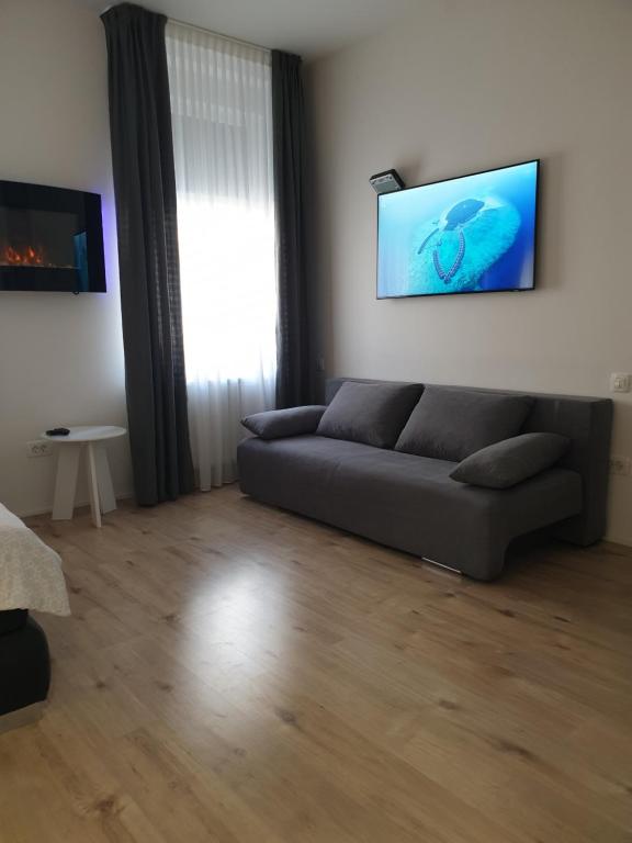 Televízia a/alebo spoločenská miestnosť v ubytovaní City Center Main Square Apartments Zagreb