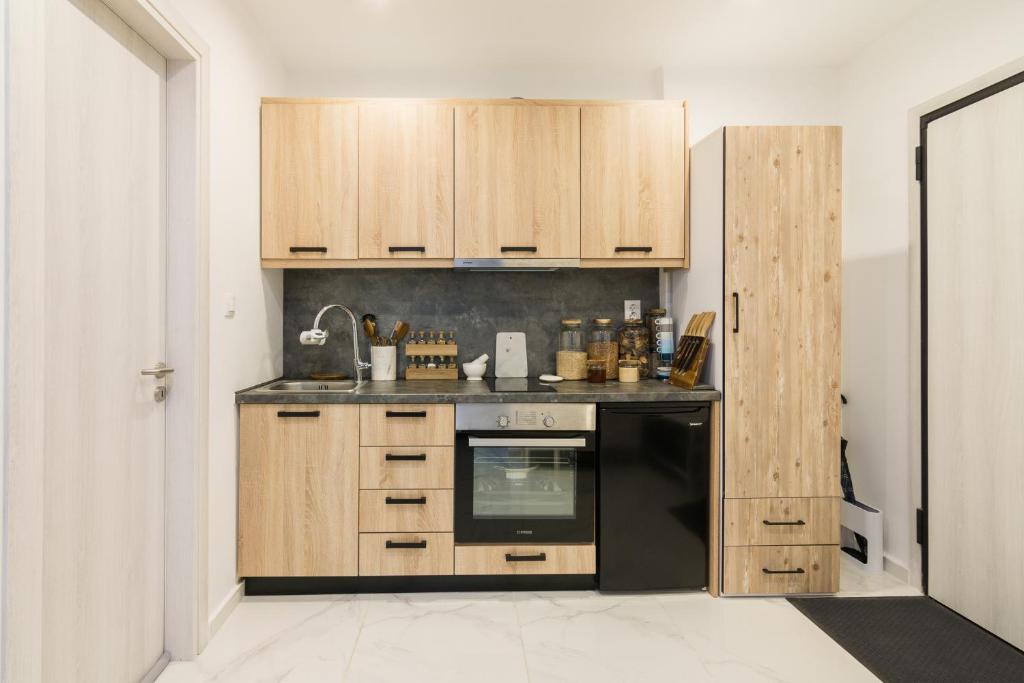 Kuchyň nebo kuchyňský kout v ubytování Modern Studio in Piraeus