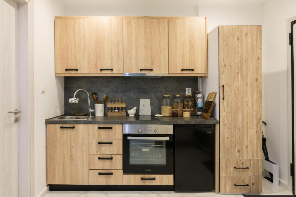 Kuchyň nebo kuchyňský kout v ubytování Modern Studio in Piraeus