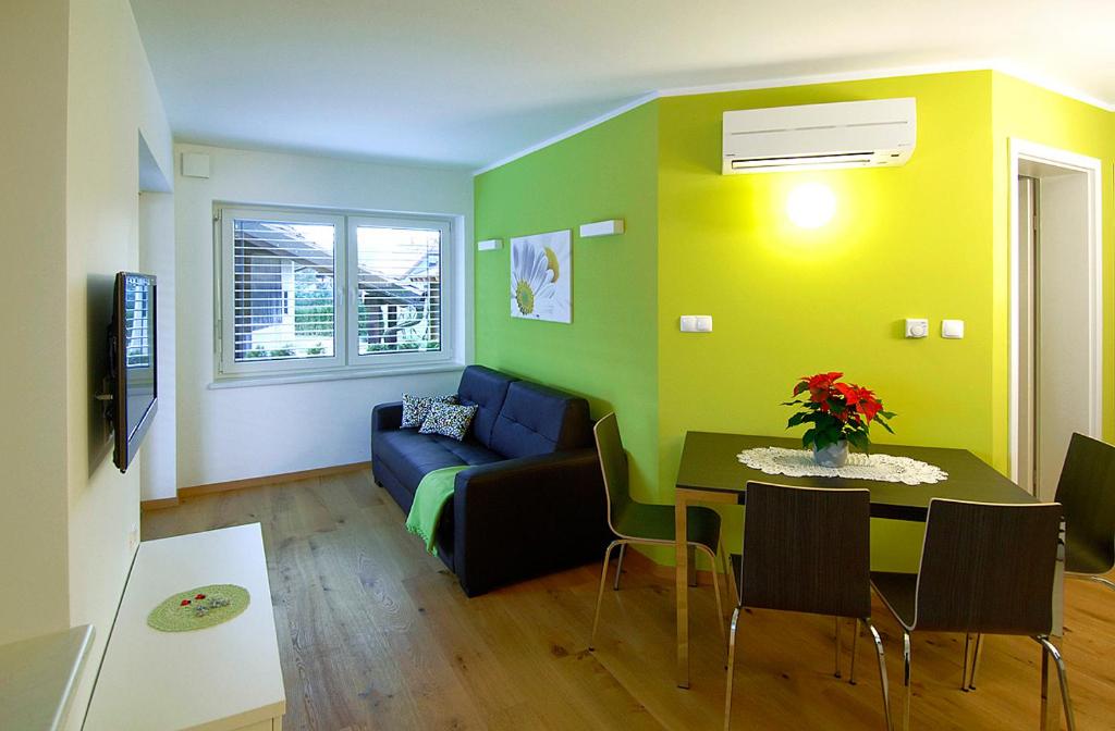 TV a/nebo společenská místnost v ubytování Apartments & Wellness Skok