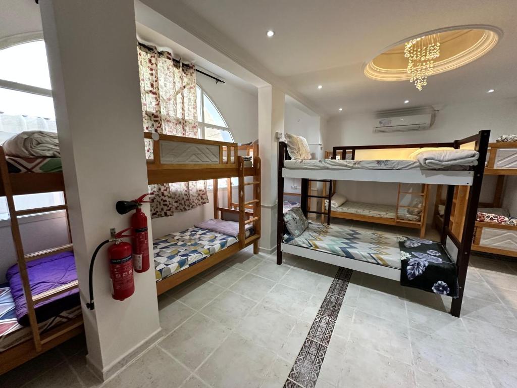 International Abu Dhabi Hostel - Image 3