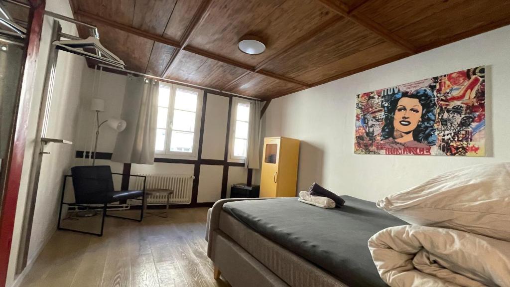 Rheinstream Guesthouse Basel - Resim 26