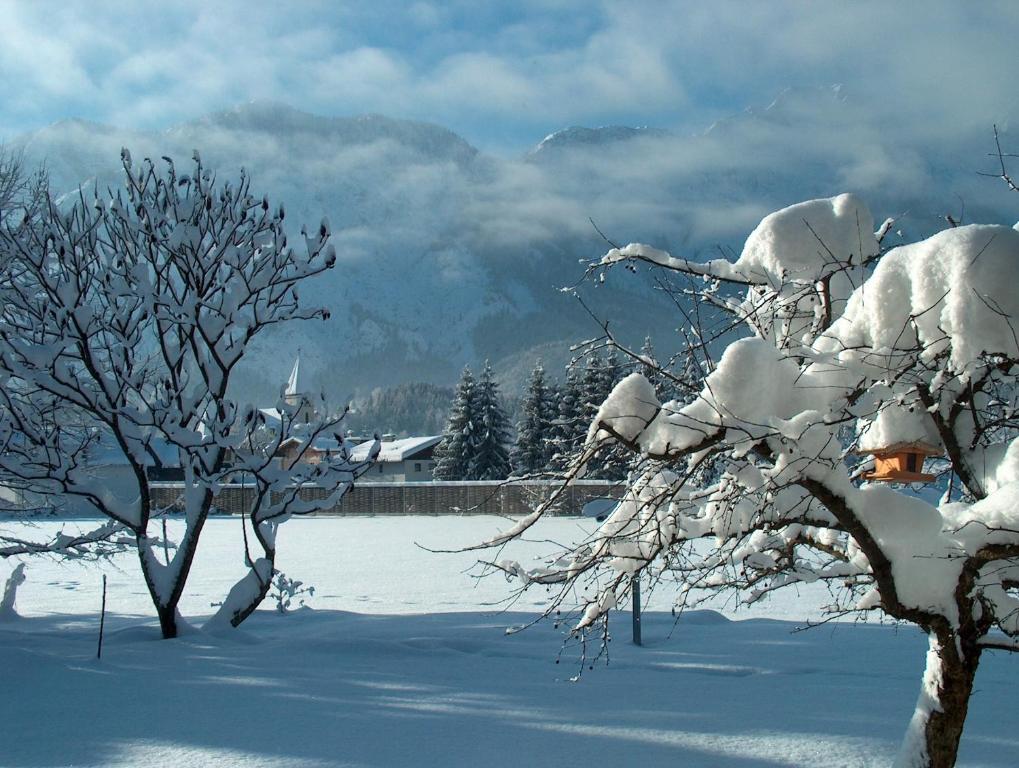 Fotografie z fotogalerie ubytování Haus Puntigam v destinaci Bad Goisern