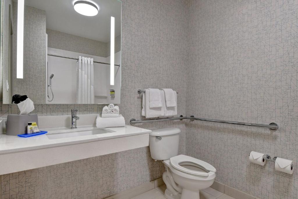 Holiday Inn Express Hotel & Suites Anderson I-85 - HWY 76, Exit 19B by IHG - 标准特大号床间 - 带无障碍淋浴间