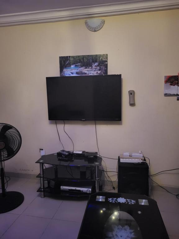 TV a/nebo společenská místnost v ubytování Edo Home