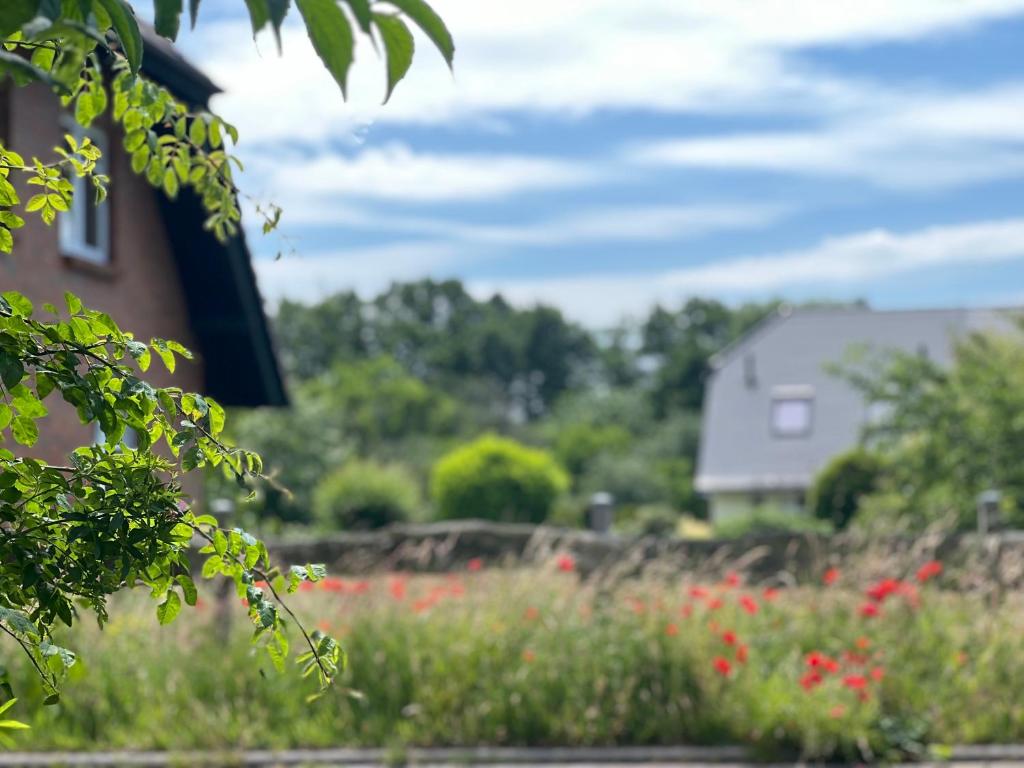 a house with a field of flowers in the foreground at Wieck - Ferienwohnung EVA & HANSI by Restaurant WIESENAU in Wieck