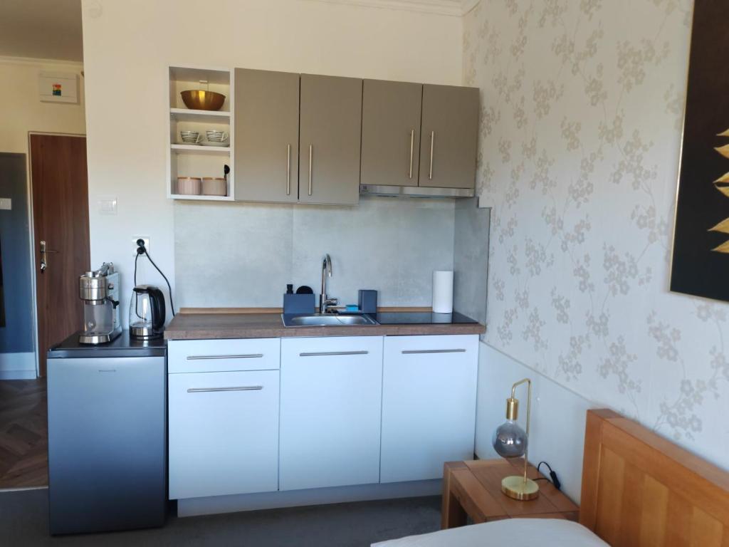 Kuchyň nebo kuchyňský kout v ubytování Apartmán Stella, Vysoké Tatry