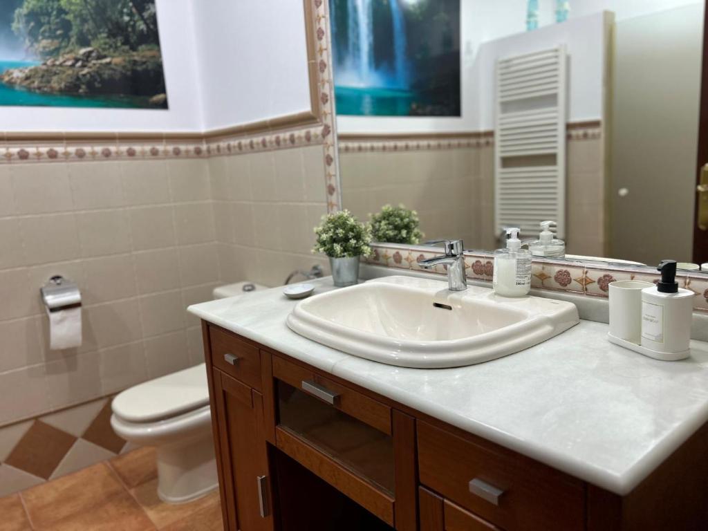 Kúpeľňa v ubytovaní Apartamento en Urbanización Residencial - Roble, 5