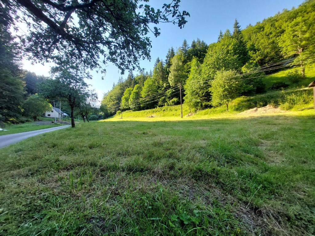 eine grüne Wiese neben einer Straße in der Unterkunft Only Meadow in Kolárovice