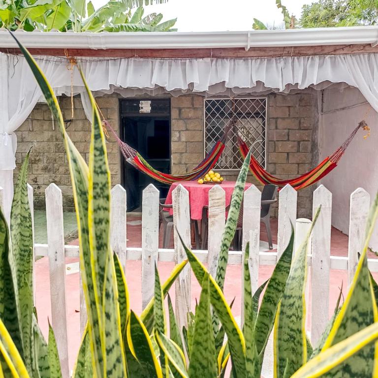 Zahrada ubytování Hostal CORALES
