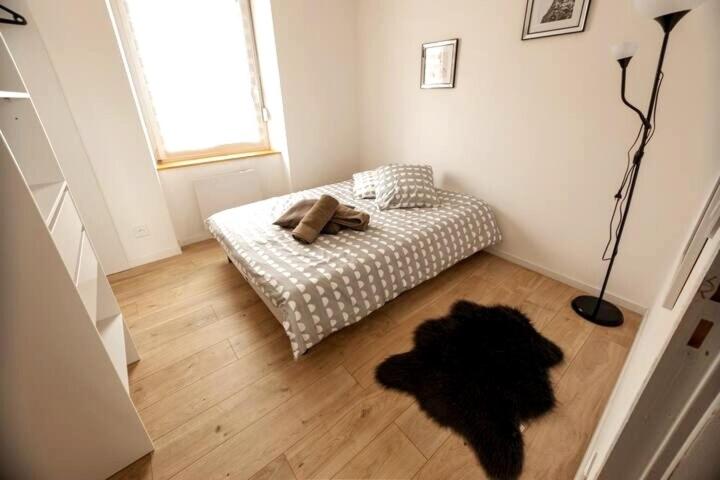 ALMA BIG Bel Appartement Proche Gare Mulhouse – photo 11