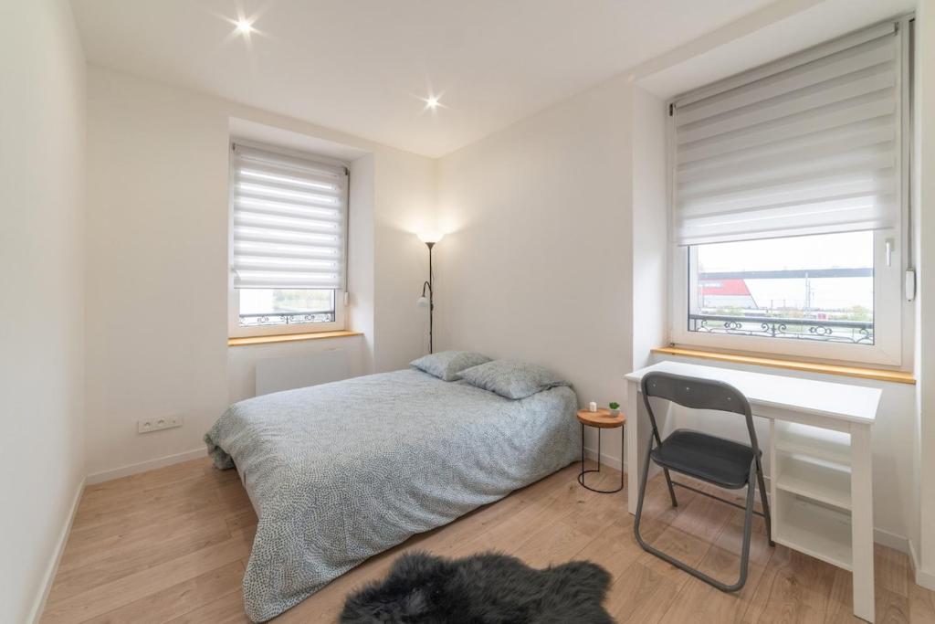 ALMA BIG Bel Appartement Proche Gare Mulhouse – photo 7