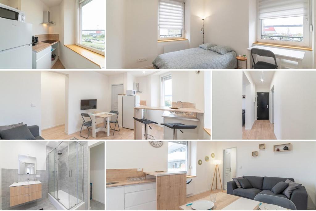 ALMA BIG Bel Appartement Proche Gare Mulhouse – photo 14