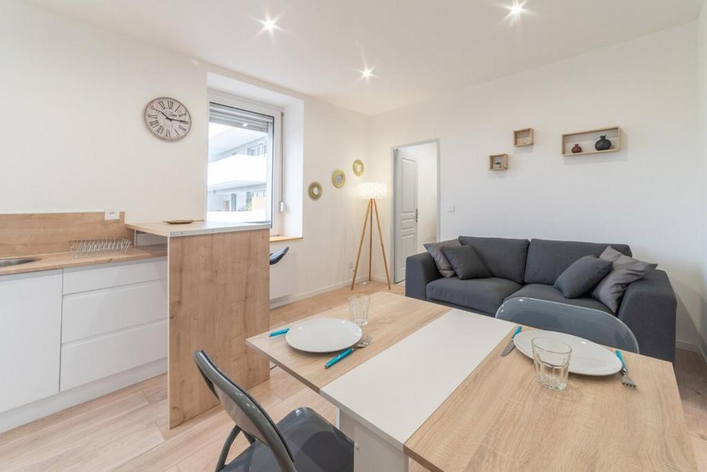ALMA BIG Bel Appartement Proche Gare Mulhouse – photo 4