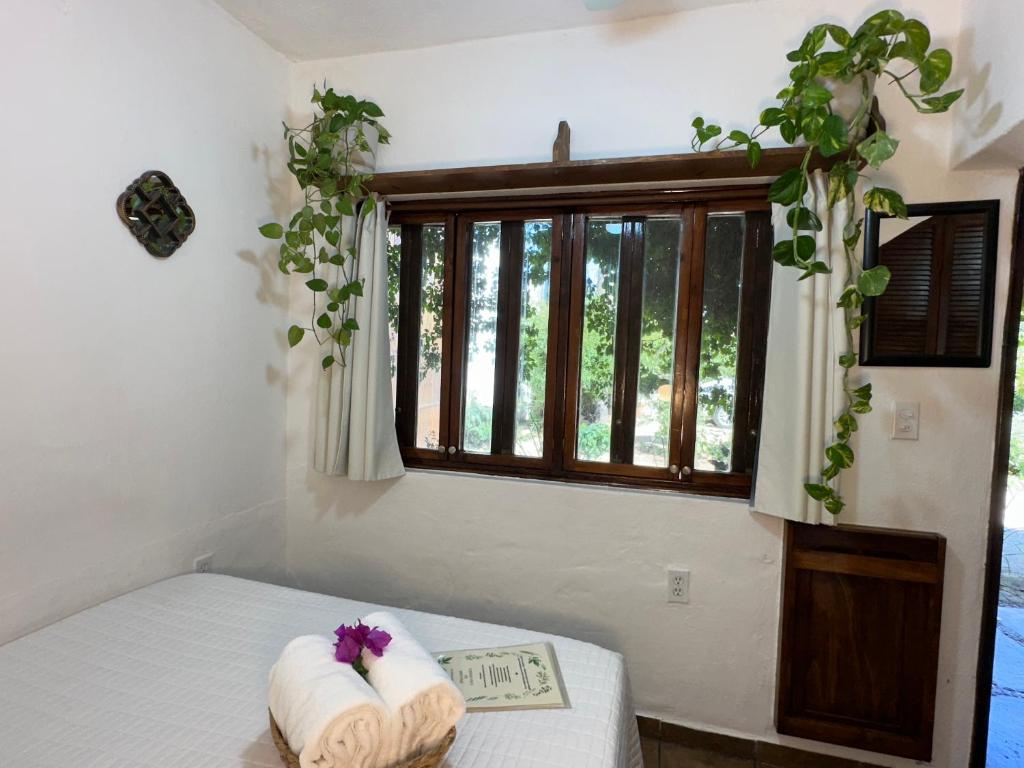 CABO BOHEMIA Tropical Garden Studios photo