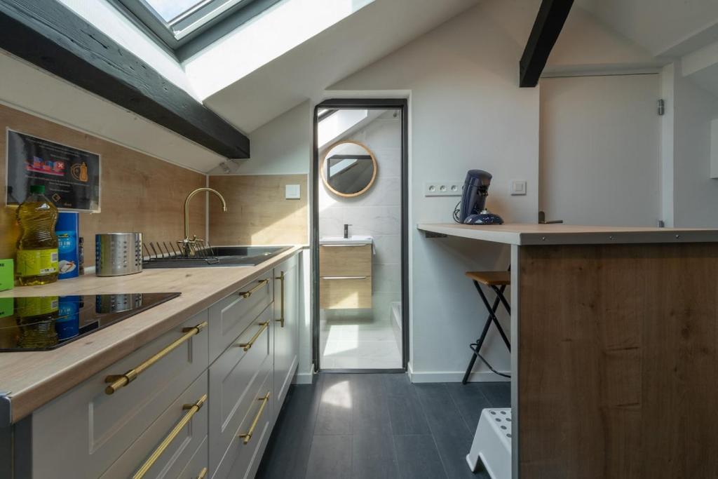 Studio G Quai de l Alma Mulhouse – photo 4