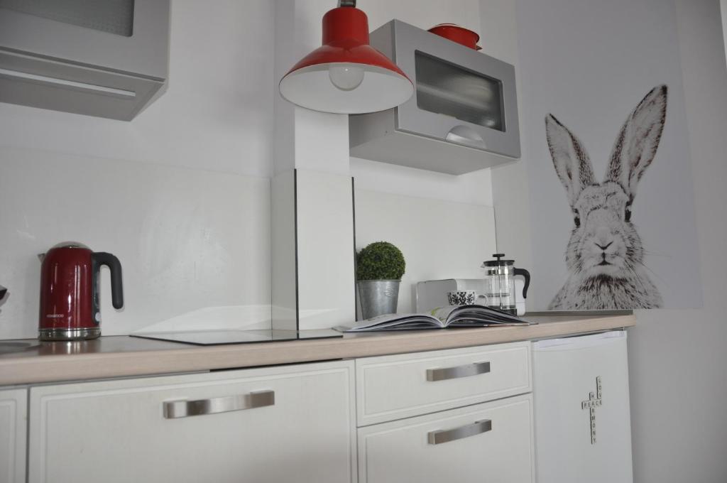 Kuchyňa alebo kuchynka v ubytovaní Apartament w kratkę