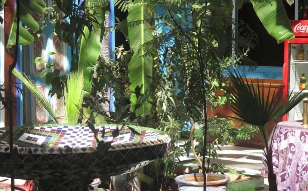 Zahrada ubytování Riad Carole - Perfect for Families & Groups