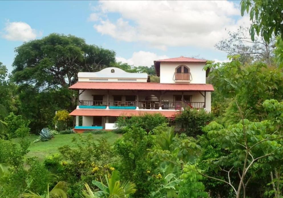 a house on top of a hill with trees at CasaBravaVentura Jungle Ecofarm in Santa Catalina