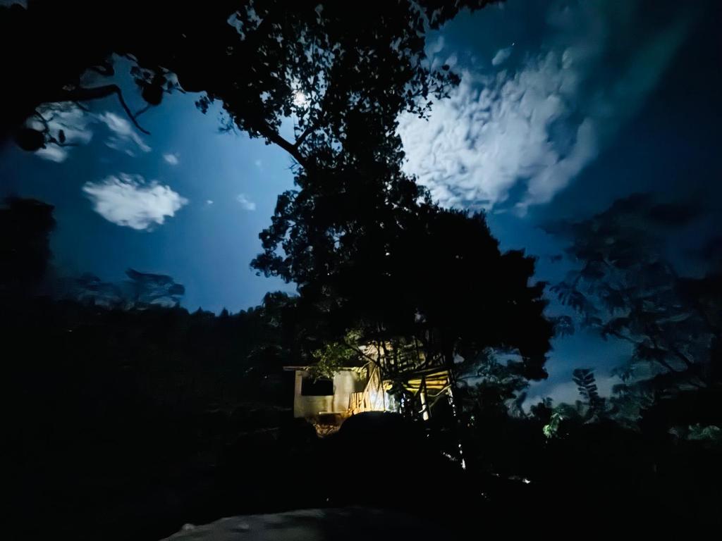 Fotografie z fotogalerie ubytování AVA tree house v destinaci Deniyaya