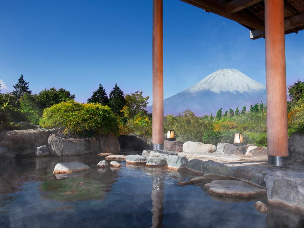 a mountain in the distance with a pool of water at Hotel Green Plaza Hakone in Hakone
