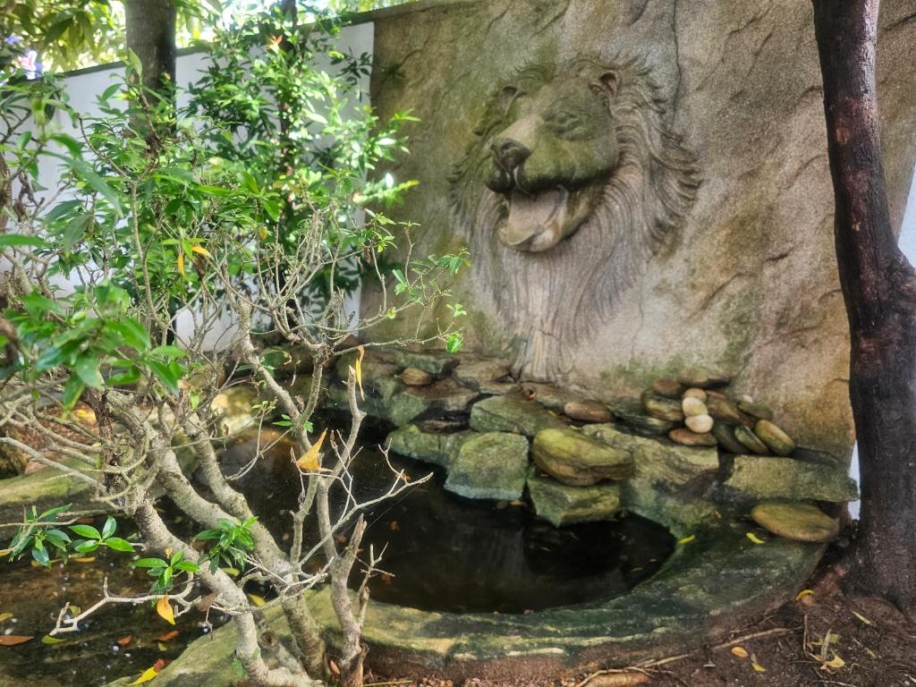 Zahrada ubytování Yala Safari INN