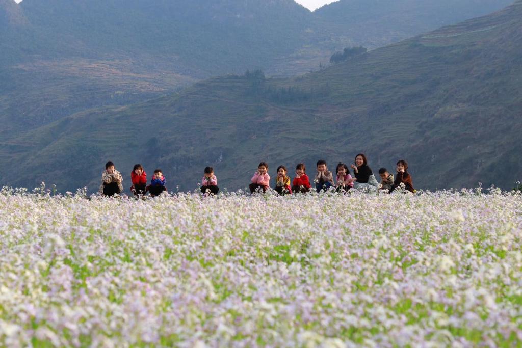 a group of people sitting in a field of flowers at Vieille Maison de Ma Lé in Mia Si
